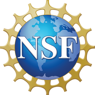 NSF Meeting