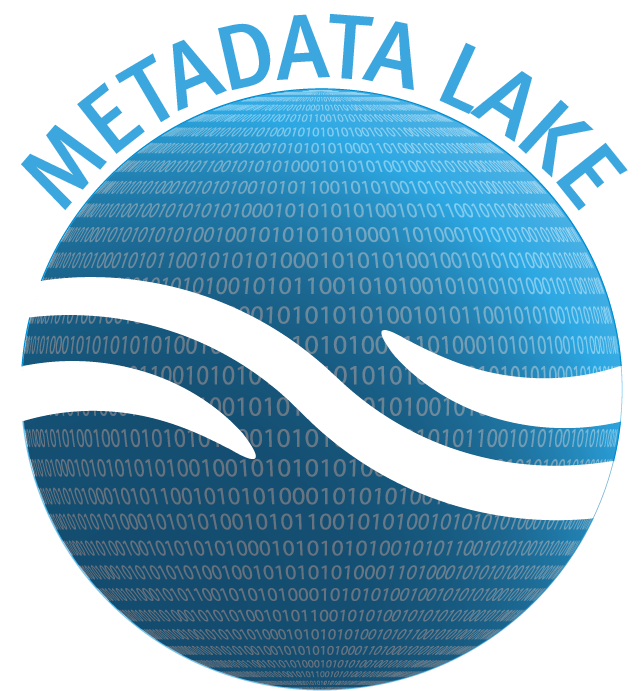 Metadata Lakes and Data Value