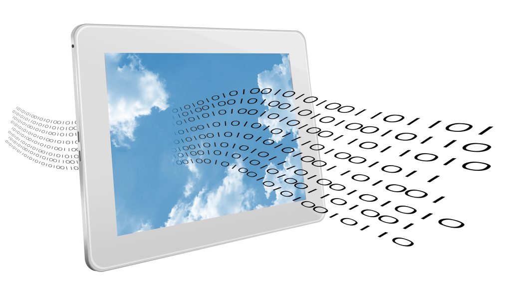 Bit Insurance and Data Value