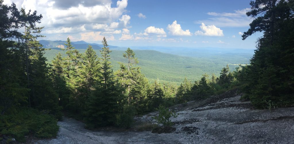 Sandwich Wilderness Monitoring