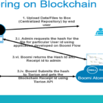 Dell Boomi for Blockchain Data Anchoring