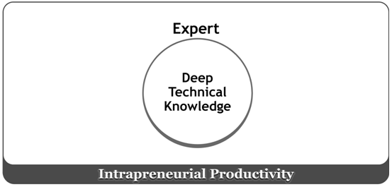 Intrapreneurealproductivity Intrapreneurealproductivity